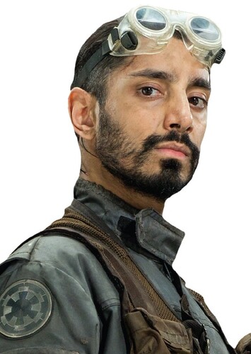 Bodhi Rook