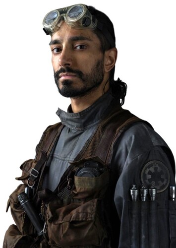 Bodhi Rook
