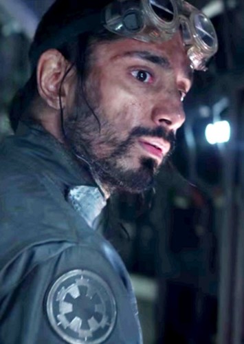Bodhi Rook