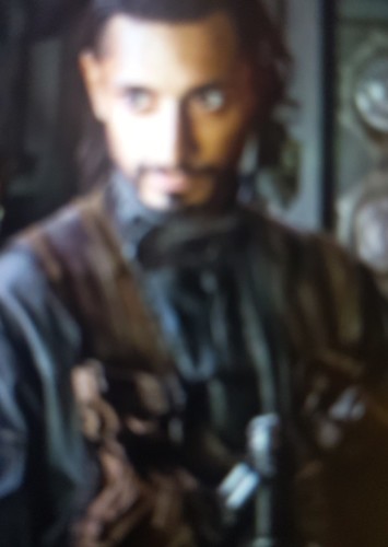 Bodhi Rook