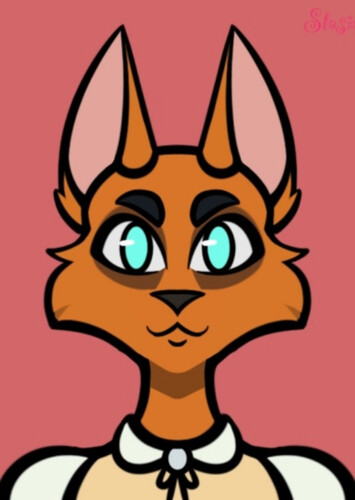 Bodi