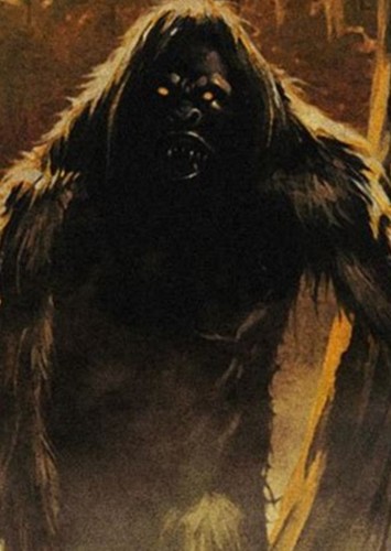 Boggy Creek Monster