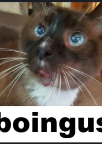 Boingus