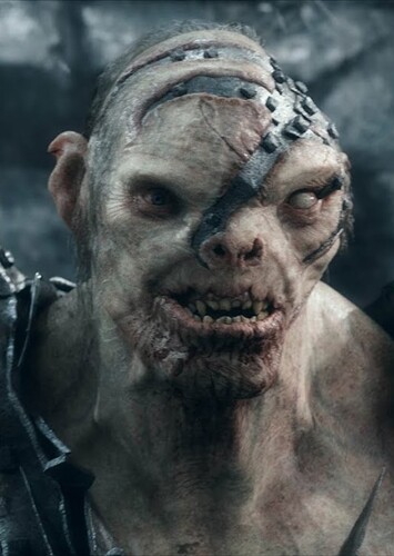 Bolg