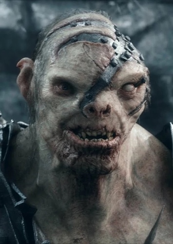 Bolg