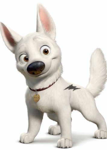 Bolt