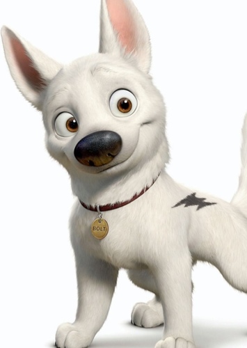 Bolt