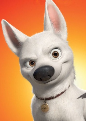 Bolt
