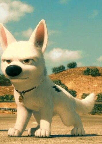 Bolt