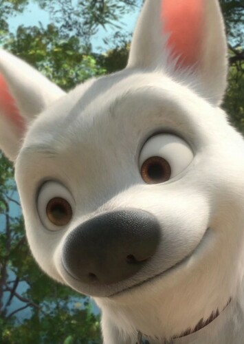 Bolt