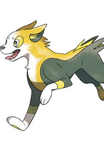 Boltund