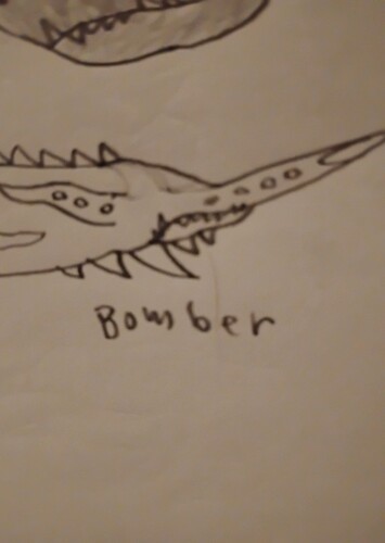 Bomber