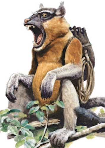 Bongo