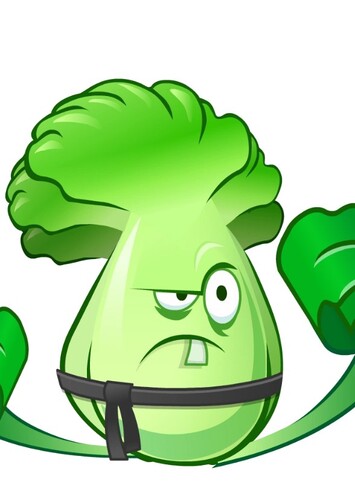 Bonk Choy