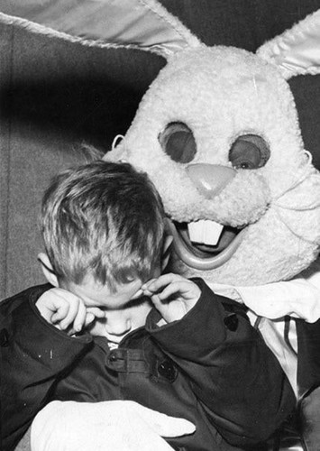 Bonnie The Bunny (Rabbit)