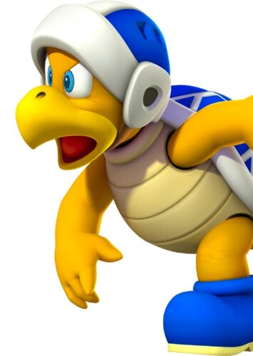 Boomerang Bro
