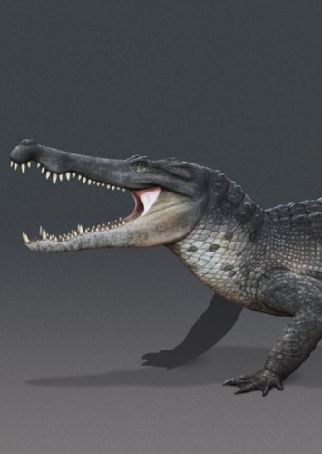 Borealosuchus
