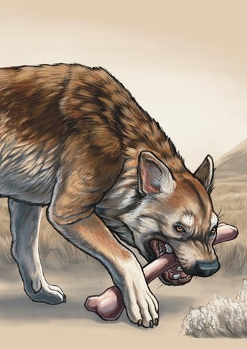 Borophagus