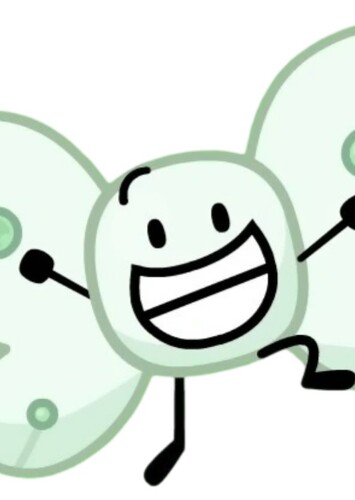 Bot