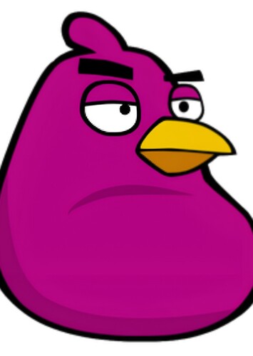 Bounci