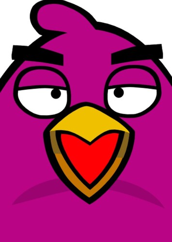 Bounci