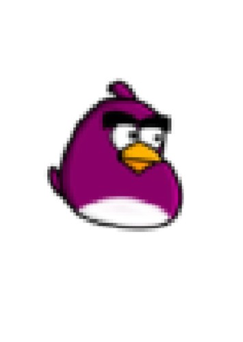Bounci