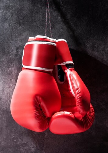 Boxing Gloves