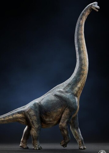 Brachiosaurus/Giraffatitan/Sauroposeidon