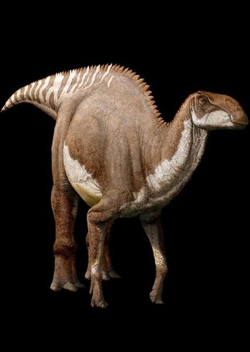 Brachylophosaurus