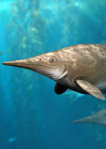 Brachypterygius
