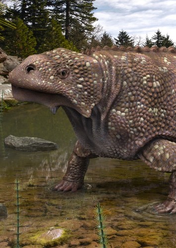 Bradysaurus