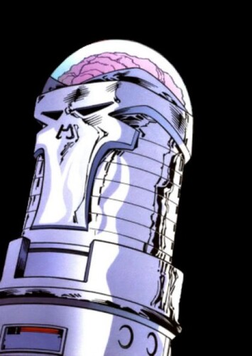 Brain