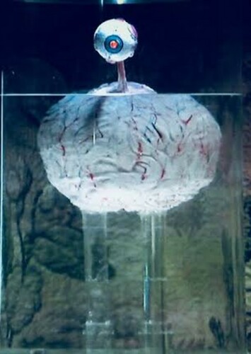 Brain