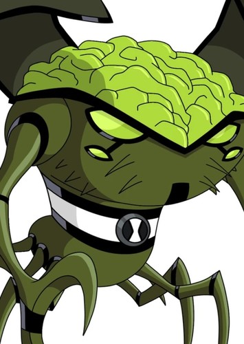 Brainstorm