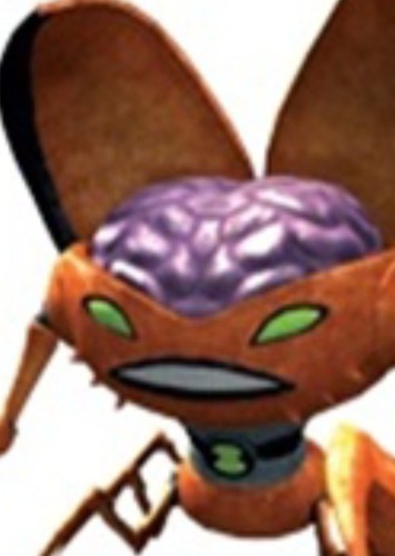 Brainstorm