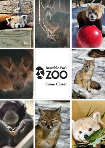 Bramble Park Zoo