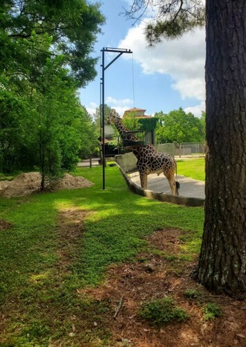 BREC's Baton Rouge Zoo