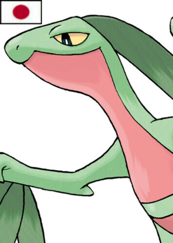 Brendan's Grovyle (Japanese)