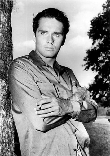 Brett Halsey
