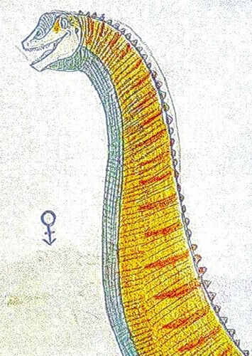 Bridget the Brachiosaurus Altithorax