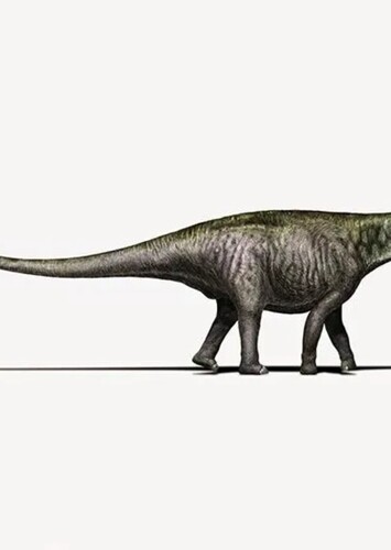 Brontosaurus