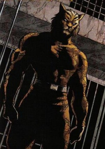 Bronze Tiger
