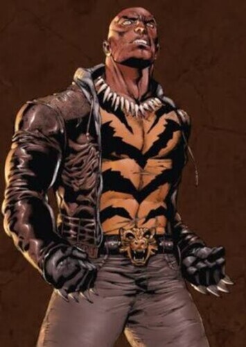 Bronzer Tiger