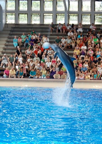 Brookfield Zoo Chicago