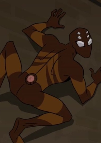 Brown Widow