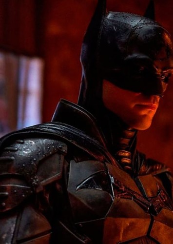 Bruce Wayne (20)
