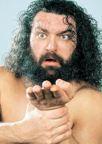 Bruiser Brody