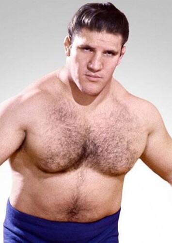 Bruno Sammartino