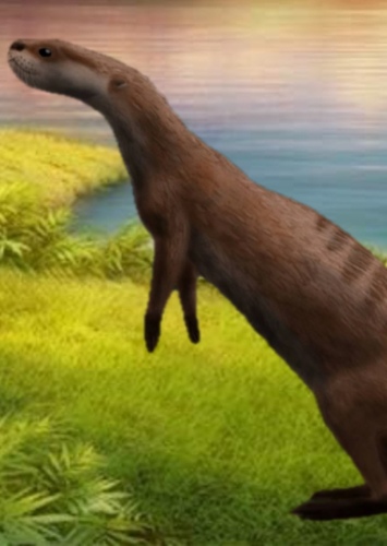 Buck
