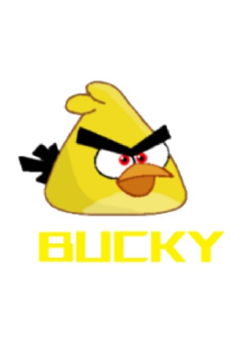 Bucky